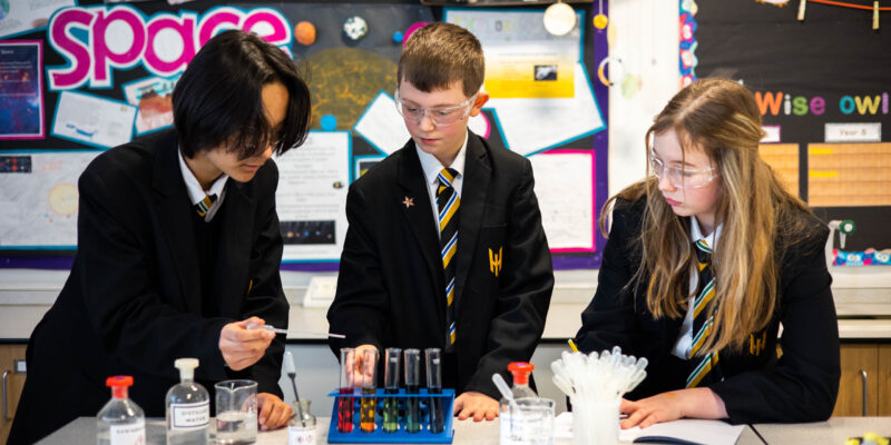 Family Newsletter: Edition 12